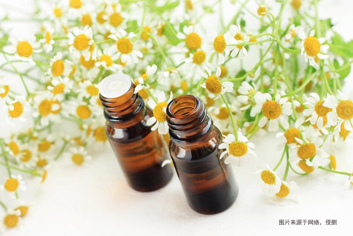 摩洛哥洋甘菊精油進(jìn)口報(bào)關(guān)