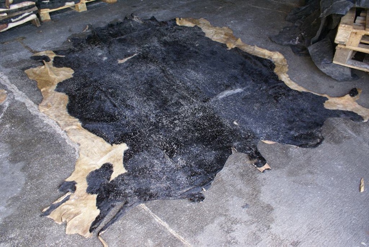 青島藍濕牛皮進口報關資料