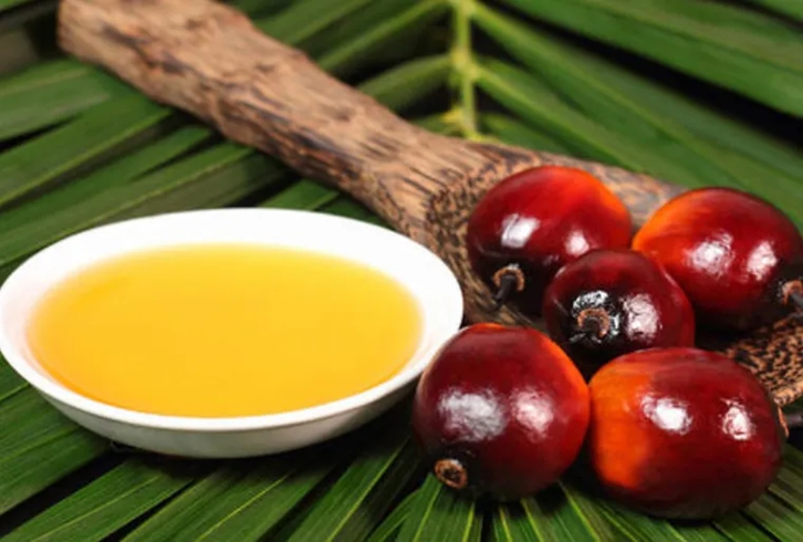 馬來西亞棕櫚油進(jìn)口報(bào)關(guān)