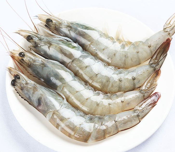 馬來西亞冷凍蝦進(jìn)口報(bào)關(guān)公司