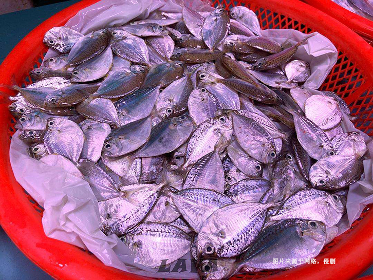 佛山南海冷凍葉子魚進(jìn)口報(bào)關(guān)流程