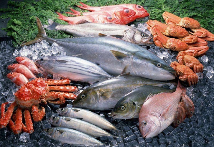 進口冷凍海鮮報關