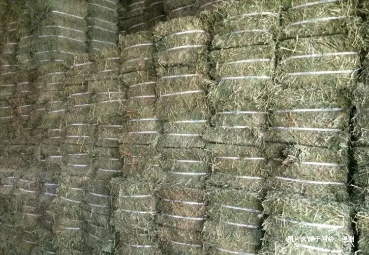 進口蘇丹苜蓿草報關(guān)資料