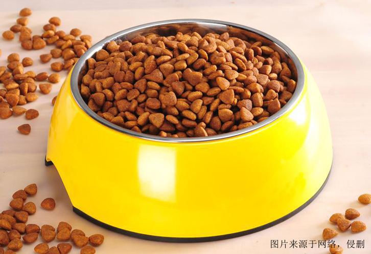進(jìn)口寵物食品清關(guān)費(fèi)用怎么計(jì)算?寵物食品進(jìn)口代理