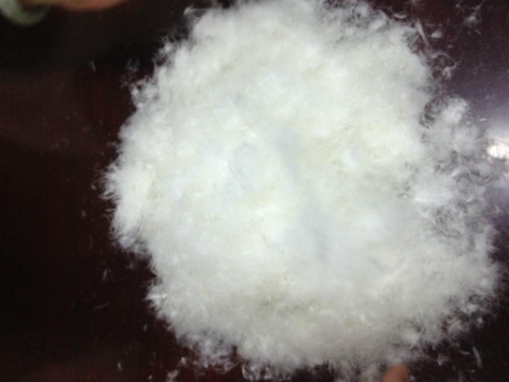 波蘭羽絨進口報關流程