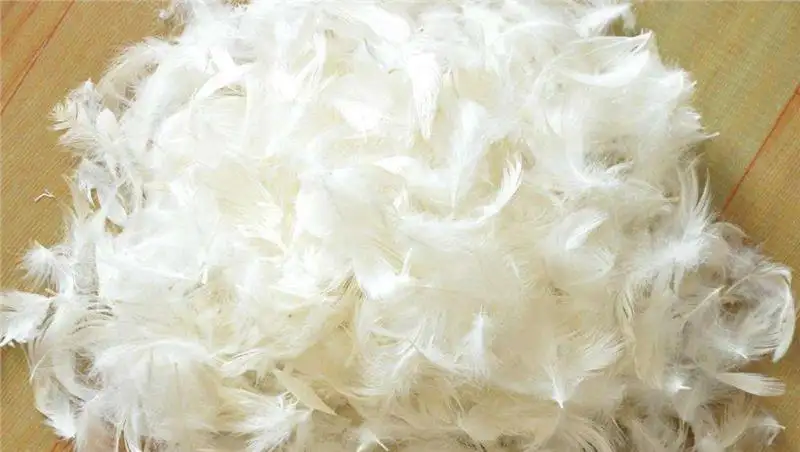 鴨毛進口報關流程