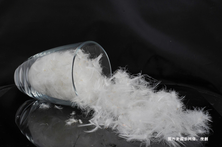 法國(guó)水洗羽絨羽毛進(jìn)口報(bào)關(guān)資料