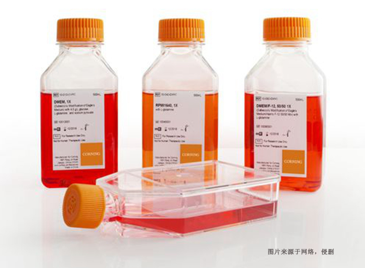 美國細胞培養(yǎng)試劑進口報關費用