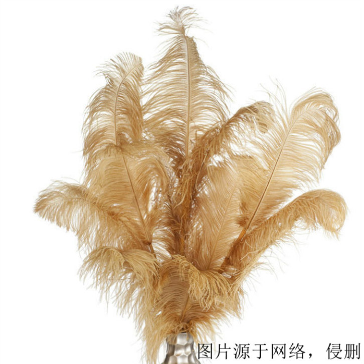 鴕鳥羽毛進口報關(guān)資料