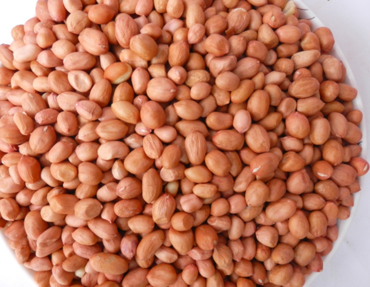 廣州花生米進口報關代理