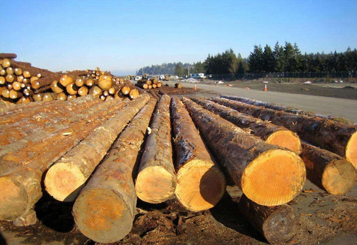 寧波木材進(jìn)口報(bào)關(guān)公司