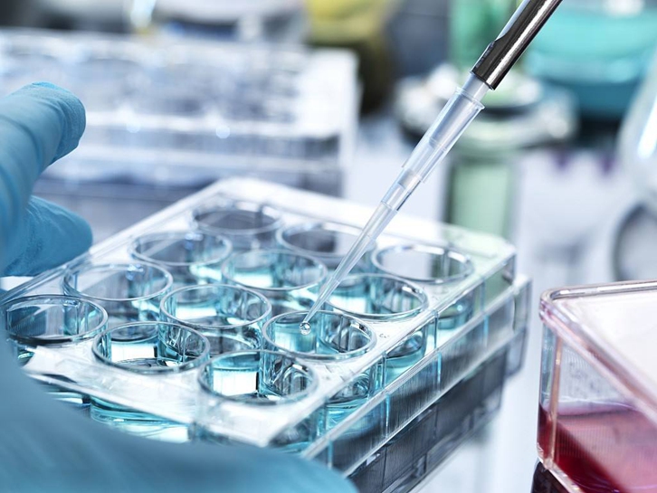 青島科研生物細(xì)胞進(jìn)口報關(guān)費(fèi)用