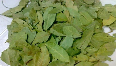 香葉進(jìn)口報(bào)關(guān)注意事項(xiàng)有哪些？