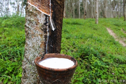 越南天然橡膠怎么進(jìn)口報(bào)關(guān)清關(guān)_流程只需要這7點(diǎn)