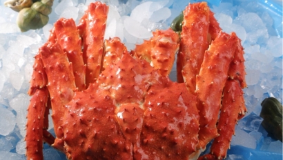 上海進(jìn)口挪威帝王蟹報關(guān)資料7步_螃蟹清關(guān)流程