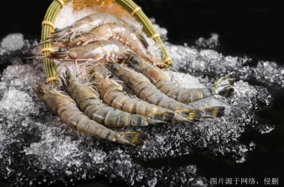 廣州冷凍食品進口清關門到門服務流程、細節及注意事項