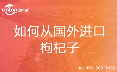 如何從國外進口枸杞子