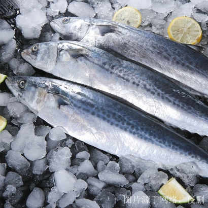 越南進(jìn)口冰鮮魚清關(guān)流程_胡志明港海運(yùn)報關(guān)費(fèi)用