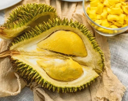 青島進(jìn)口冷凍泰國榴蓮報關(guān)代理公司-水果報關(guān)行