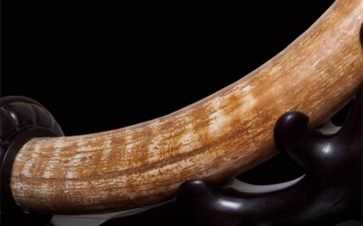 猛犸象牙進(jìn)口報(bào)關(guān)流程以及稅率是怎樣的？