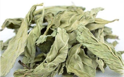 干薄荷葉進口報關的流程是怎樣的？