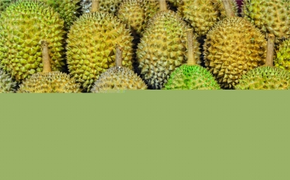 馬來西亞榴蓮進口報關代理一站式服務公司-全國聯(lián)網(wǎng)為您服務