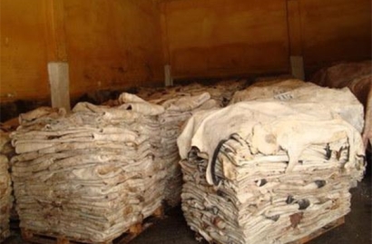 鹽濕皮進(jìn)口清關(guān)的流程以及所需資料，請查收!