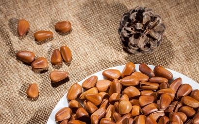 松子進(jìn)口報(bào)關(guān)的操作流程以及時(shí)效是怎樣的呢？