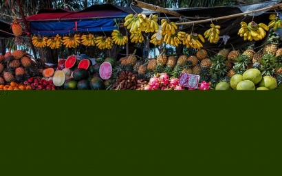 泰國水果進口清關(guān)一站式所需了解的流程以及關(guān)稅