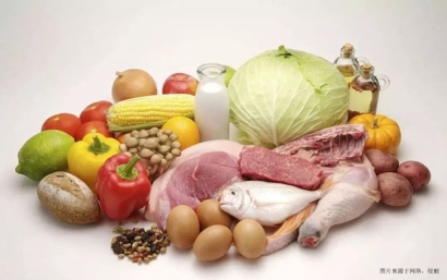 福建高效食品進口報關|廣州臻力提供專業(yè)服務