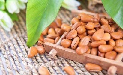 進口阿富汗松子清關代理公司告訴你進口松子的要求