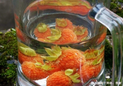 美國覆盆子籽油進(jìn)口清關(guān)費用-工業(yè)植物油報關(guān)行