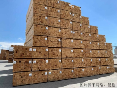 白俄羅斯進口報關公司哪家好？白俄羅斯木材清關流程