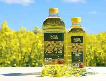 廣州進口俄羅斯菜籽油報關流程-19年食品進口報關行