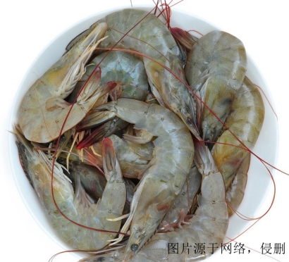 厄瓜多爾冷凍蝦進口清關流程_上海冷凍蝦報關公司