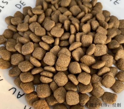 狗糧進口清關流程怎么操作？廣州狗糧進口報關資料