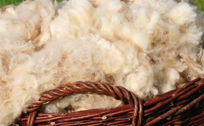 進口羊毛報關一般貿易進口流程是怎樣的？