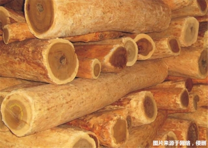 進口印度檀香木報關的流程_瀕危木材報關代理資料