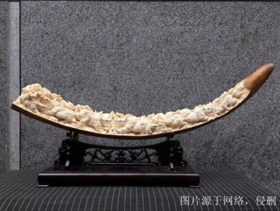 西伯利亞猛犸象牙進口報關流程？猛犸象牙清關資料