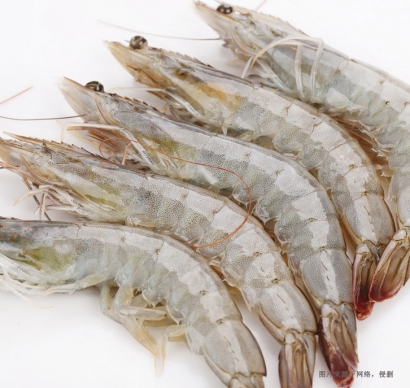 大連進(jìn)口厄瓜多爾白蝦報(bào)關(guān)流程-冷凍水產(chǎn)品報(bào)關(guān)行