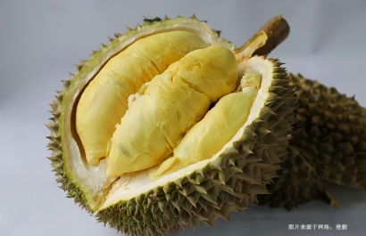 桂林進口泰國榴蓮報關(guān)流程_泰國榴蓮進口空運費用