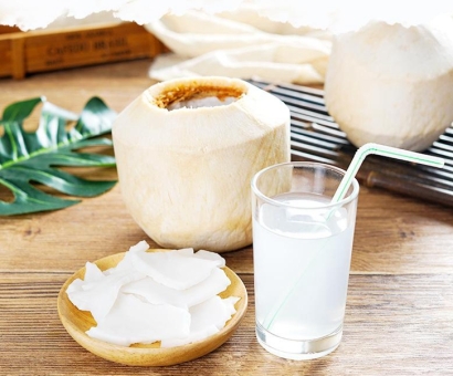 越南椰子進口報關資料_廣州椰子進口報關流程手續(xù)