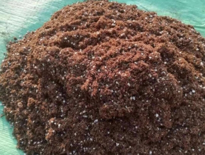 青島進口清關報關公司代理椰糠進口報關費用