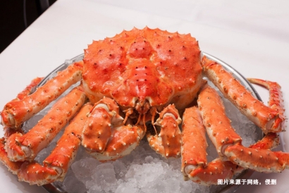 福州螃蟹進口報關公司哪家好？福建水產品進口報關行