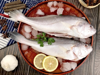 印度叫姑魚進口報關(guān)流程及資料-19年冷凍魚報關(guān)行