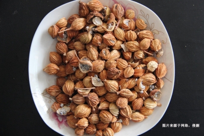 德國豆蔻進口報關(guān)流程_香料豆蔻進口準入國家