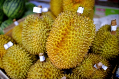 馬來西亞進口榴蓮清關(guān)，海關(guān)檢驗檢疫要求