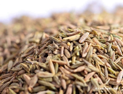 上?？蒈舆M口清關流程：如何順利引入國內市場？