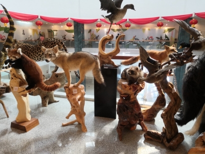 動物標(biāo)本進口報關(guān)流程及注意事項