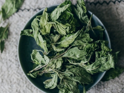 加拿大薄荷進(jìn)口報關(guān)流程_廣州藥食同源藥材報關(guān)